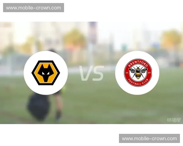 布伦特福德与狼队激战成和 两队保级压力稍有缓解